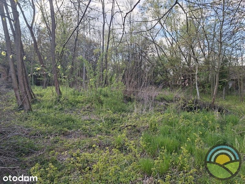 Działka budowlana 954 m² w cichym miejscu - Widok 3