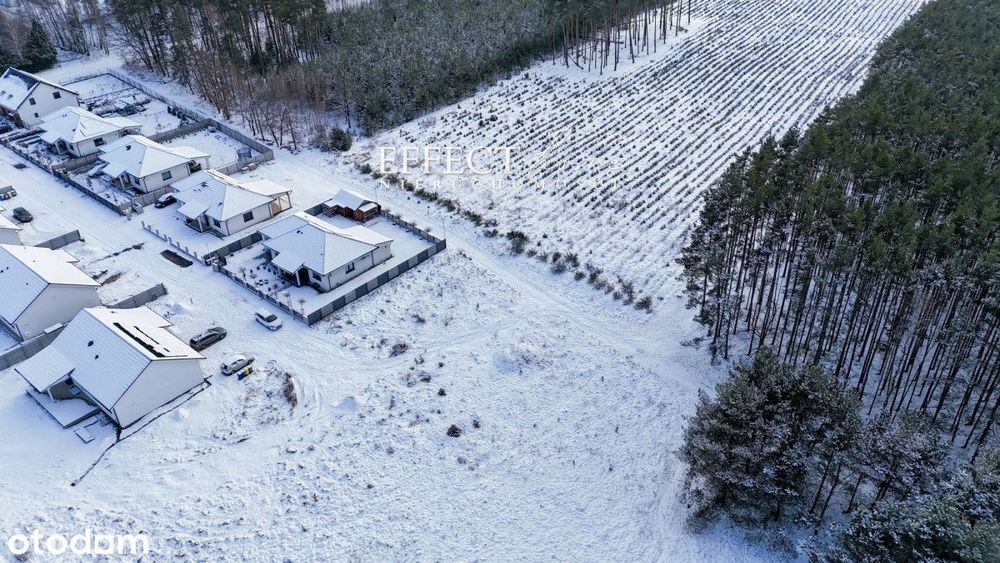 Atrakcyjna działka przy lesie - Zakęcie