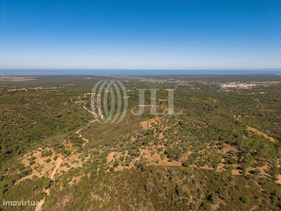 Terreno na Serra de Melides, litoral alentejano, em Melides