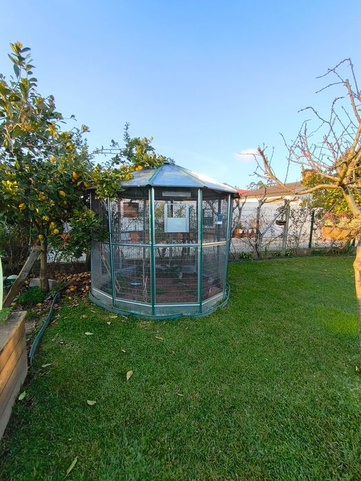 Magnífico Viveiro/Gaiola de Jardim Hexagonal – 2,60m (Como Novo)