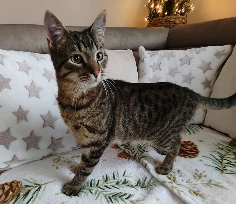 LEO szuka swoich ludzi