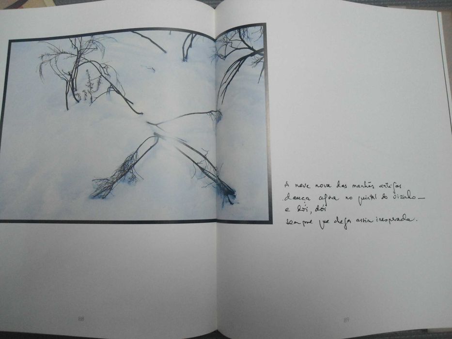 O Comum da terra por Eugénio de Andrade e Jorge Barros