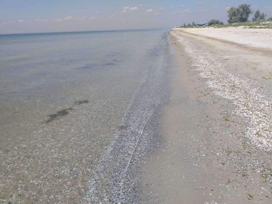 с палаткой на море , ищу попутчиков