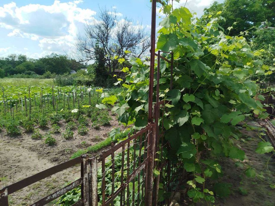 Продам будинок із зручностями