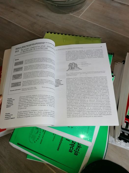 Immunologia krótkie wykłady