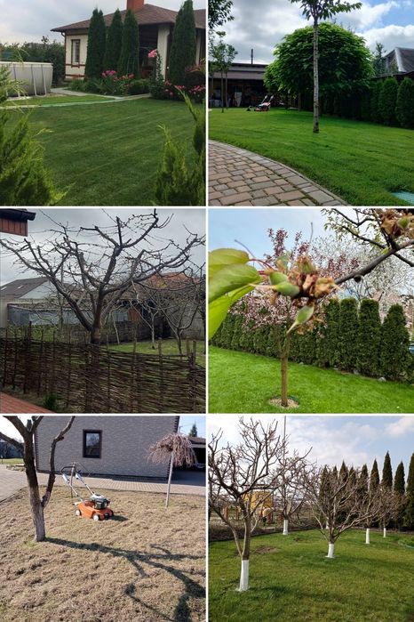 Обрізка Дерев,Кущів,Обприскування  Рослин,Аэрация-Газону,Покос. Догляд