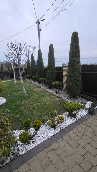 Обрізка фруктових та інших дерев на весну, обрискування санітарне.