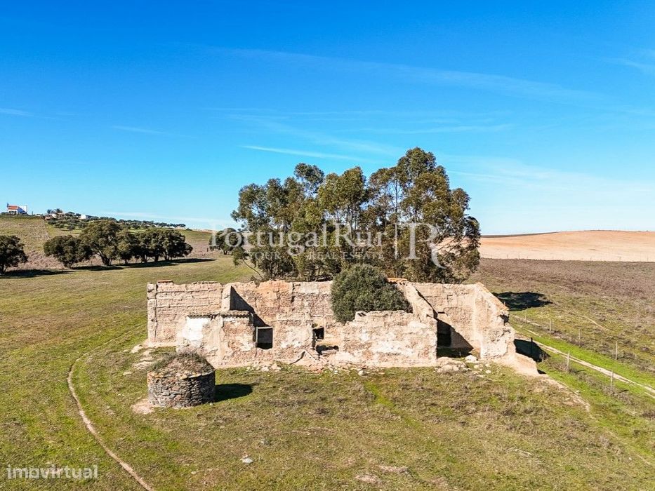 Quinta de 7 hectares com ruínas e potencial turístico