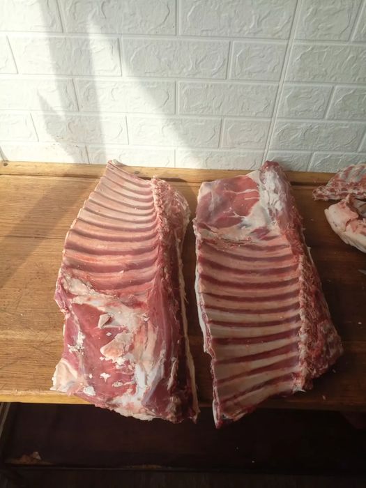 Продам Мясо баранина Халяль