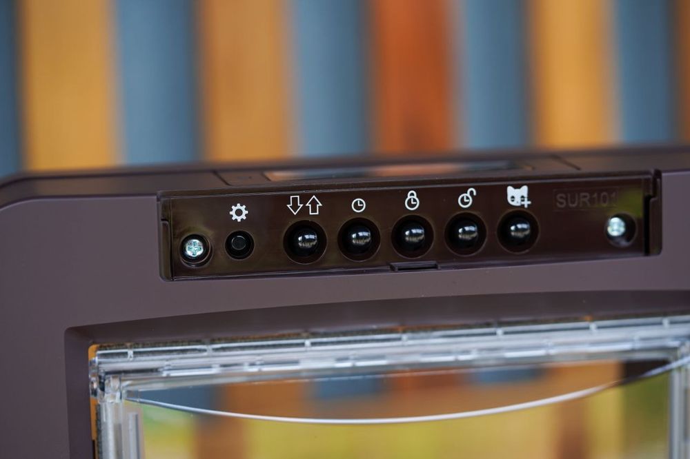 Дверца для кошек с идентификацией по микрочипу — безопасность вашего д