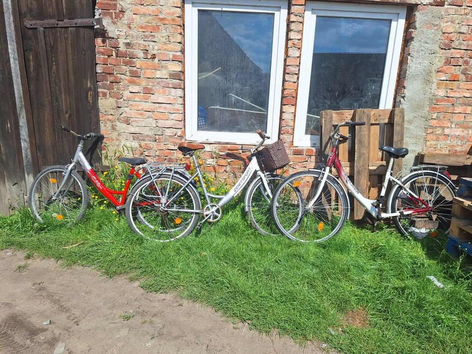 6. rowerów polecam