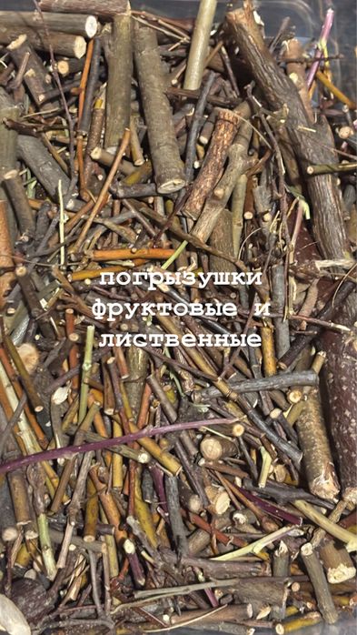 Корм для грызунов, лакомства, погрызушки