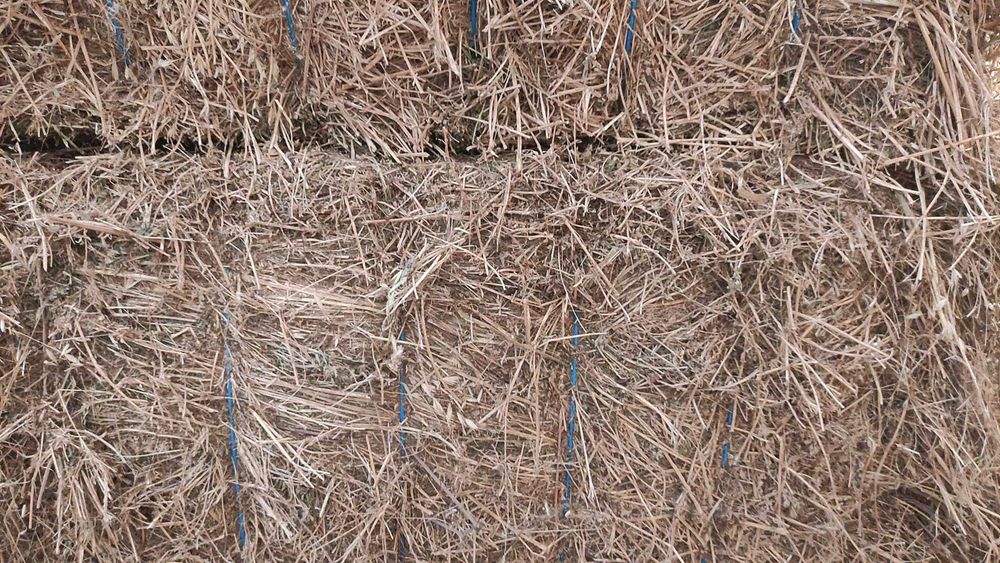 Fardos de Palha de trigo, cevada, feno e luzerna