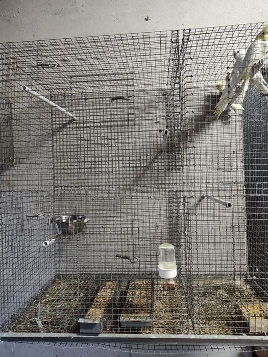 Viveiro grande bom estado