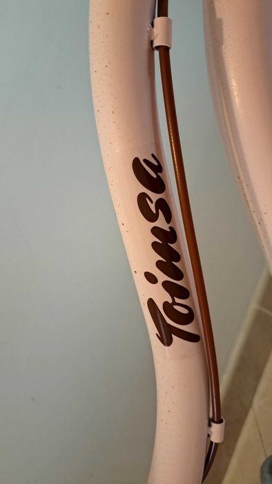 Bicicleta menina