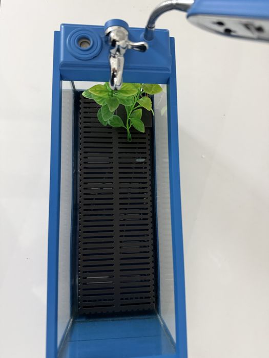 Mini aquário para peixes