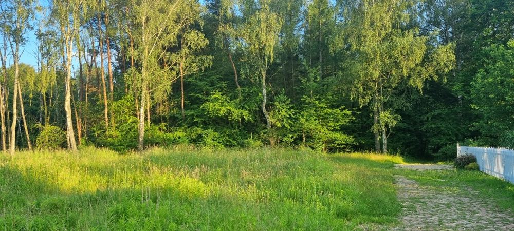 Dzialka  budowlana   Ruda Śląska Kłodnica  ul.Panewnicka   /Las / Media
