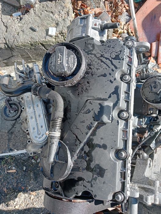 Motor 1,9 tdi105cv