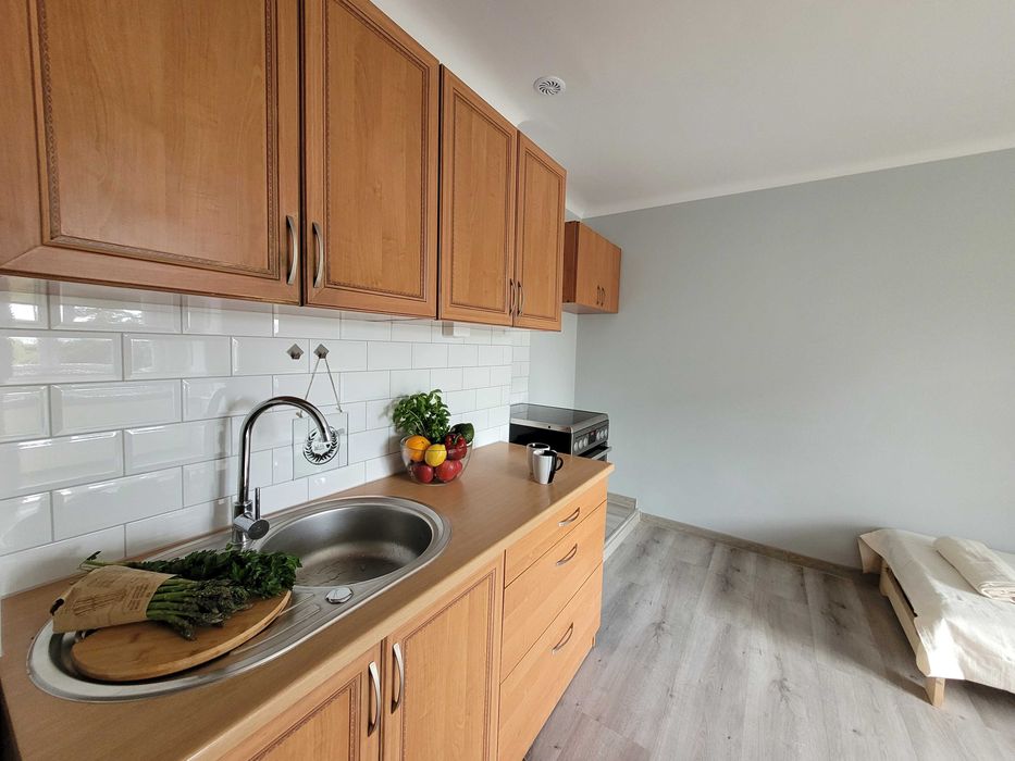 Pokój z aneksem kuchennym i łazienką