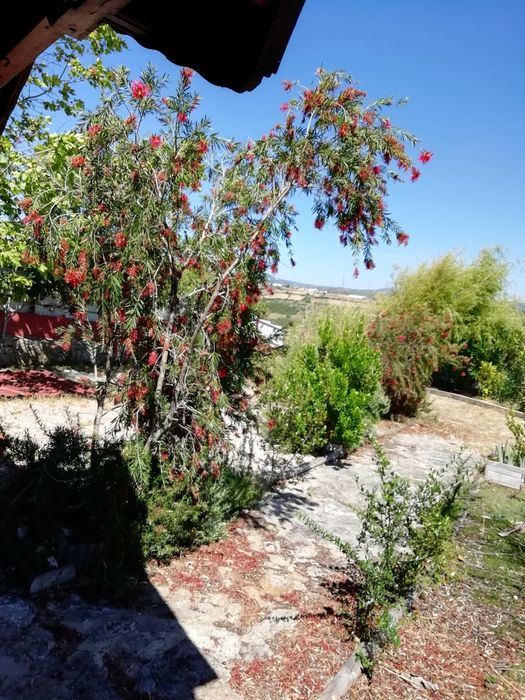 Moradia T1 Rústica com Mezanine, Anexo e Terraço, Terrugem Sintra