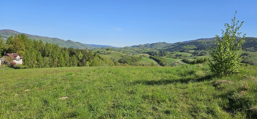 Działka budowlana, widokowa, MPZP (MN) - Widok 5