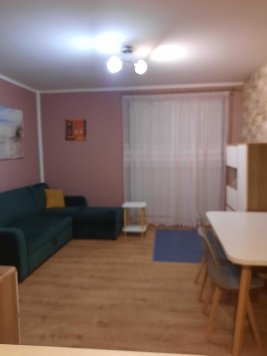 mieszkanie do wynajęcia w centrum