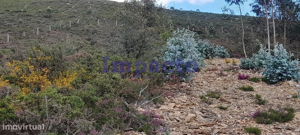 Terreno rústico em Milheirós de Poiares, Santa Maria da Feira