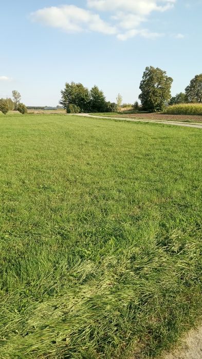 Działka W Dębinie (REZERWACJA)