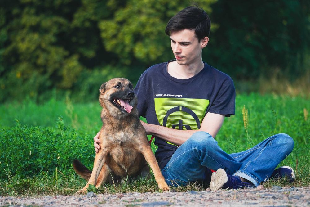 Dan - uroczy piesek czeka na dom