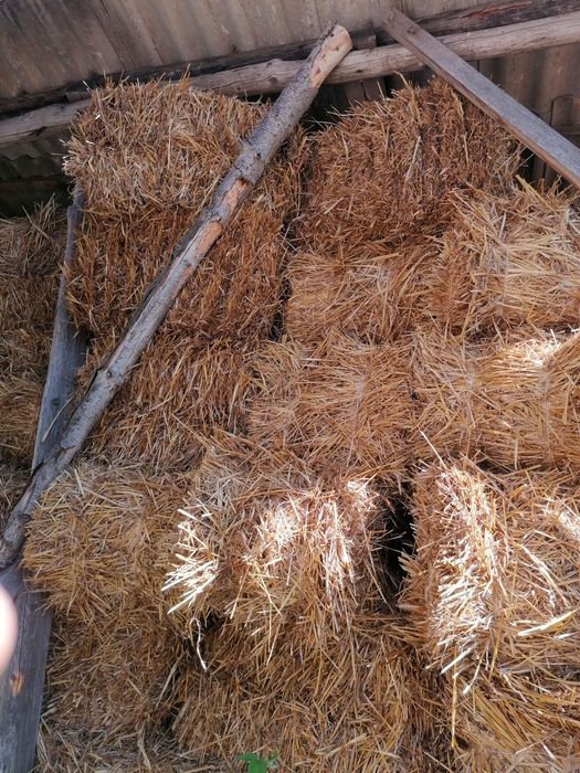 Słoma  kostka owsiana