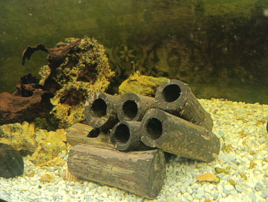Трубки для нереста сомів та укриття для криветок