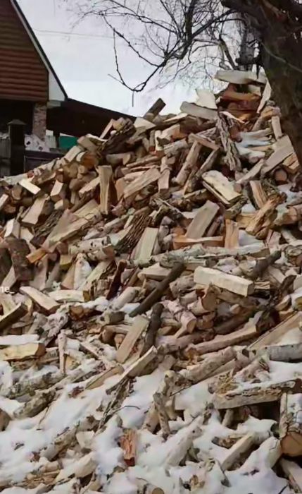 Дрова березові,соснові,дубові , цілі, колоті