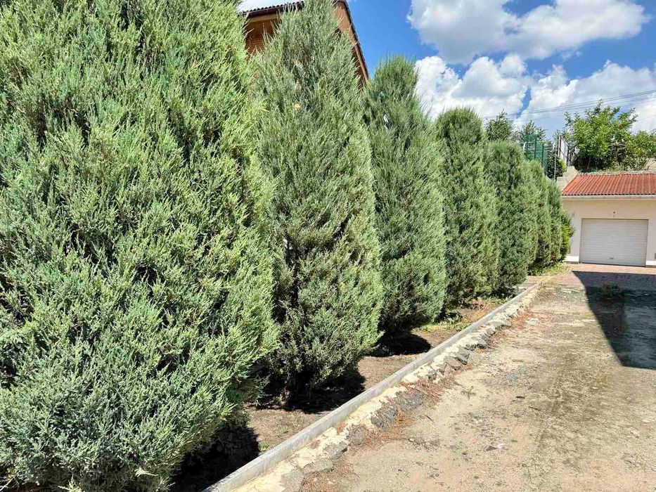 Продаю маєток з видом на річку, для великої родини. ц1