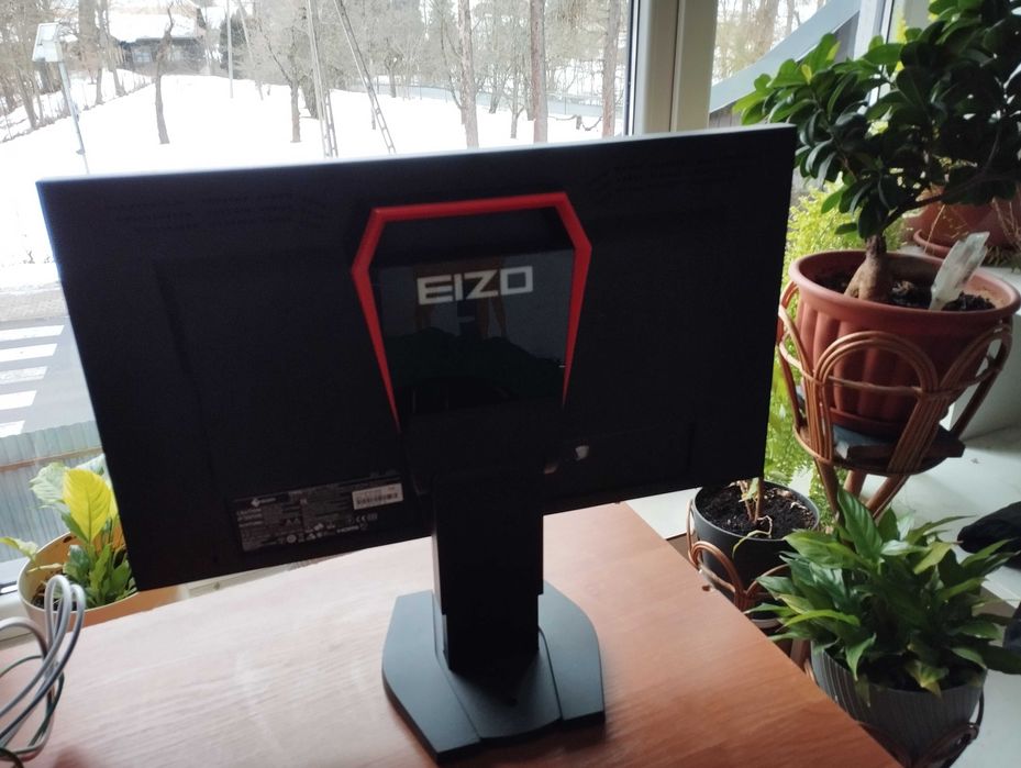 Monitor Eizo Foris FG2421PL czarny