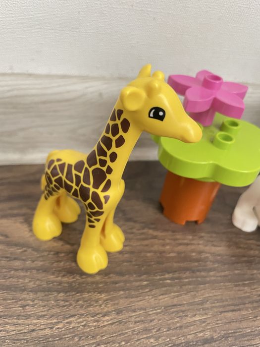 LEGO DUPLO Дитинчата тварин  (10904)