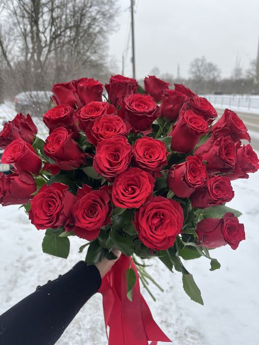 101 троянда львів