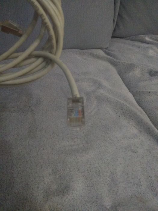 Przewod internetowy