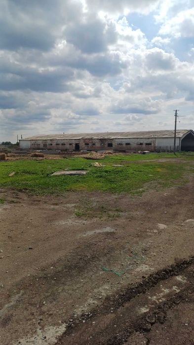 Ангар клюшечник 18 м, 21 м, крок 4, 6 м