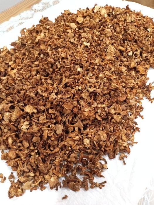 Grzyby suszone kurki tegoroczne