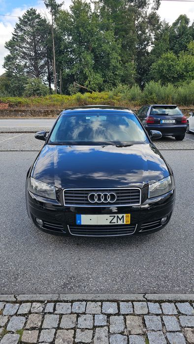 Audi A3 8P 2.0 TDI