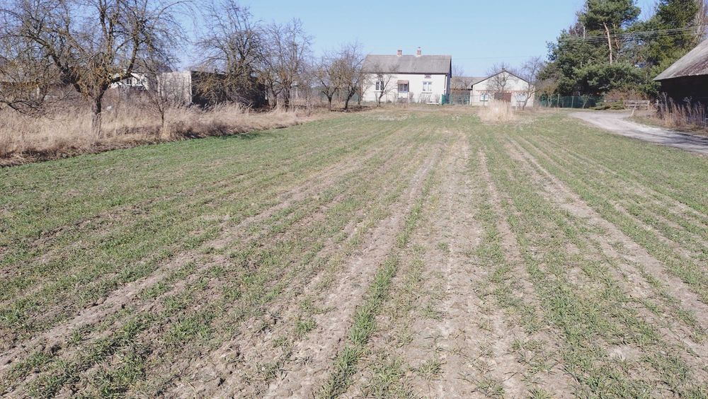 Działka budowlana nad jeziorem Gumienko przy lasach parczewskich, 18 arów, Stara Jedlanka, gm. Uścimów, OKAZJA !!! - Widok 4