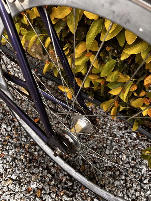 Bicicleta tipo Fixie