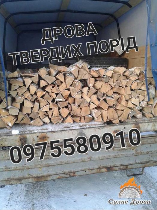 Продам дрова твердих порід