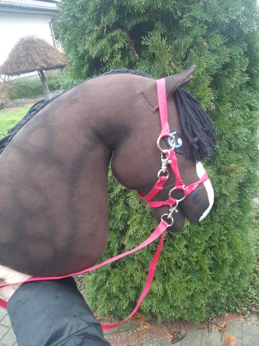 Hobby Horse Gniady