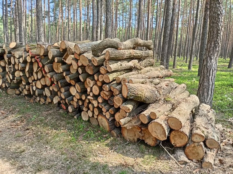 Drewno opalowe i kominkowe
