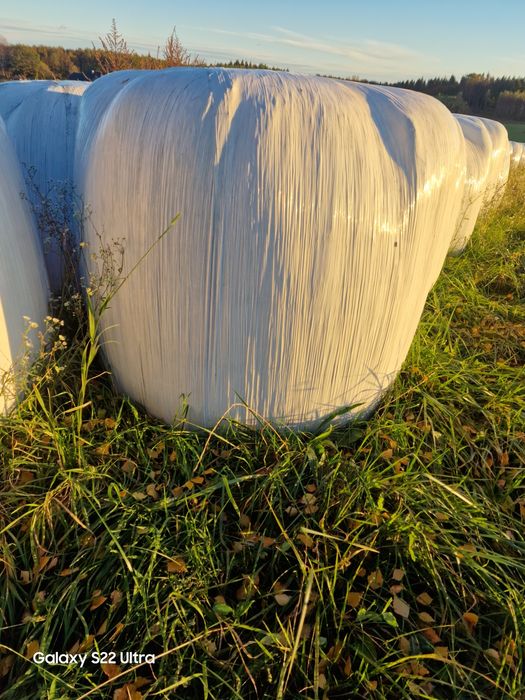 Baloty 2025 Sianokiszonka