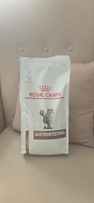 Royal Canin Gastrointestinal 2kg kot