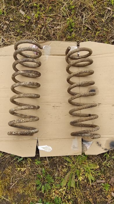 Ауді-100с3 Пружини задні