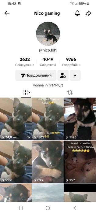 ТикТок аккаунт с монетизацией контента и Live Studio! (Германия)