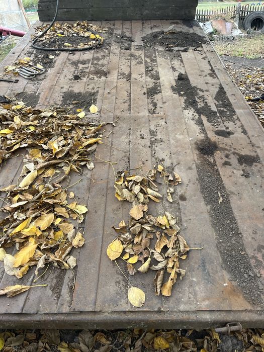 Продам платформу 2птс4